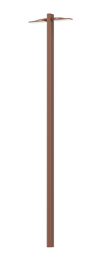 Tana